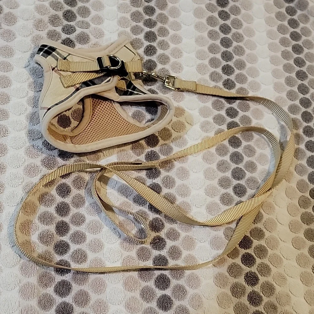 Cat leash